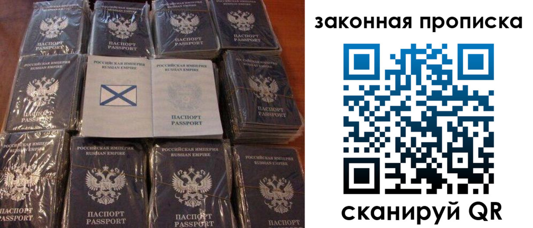 прописка для школы в Курской области